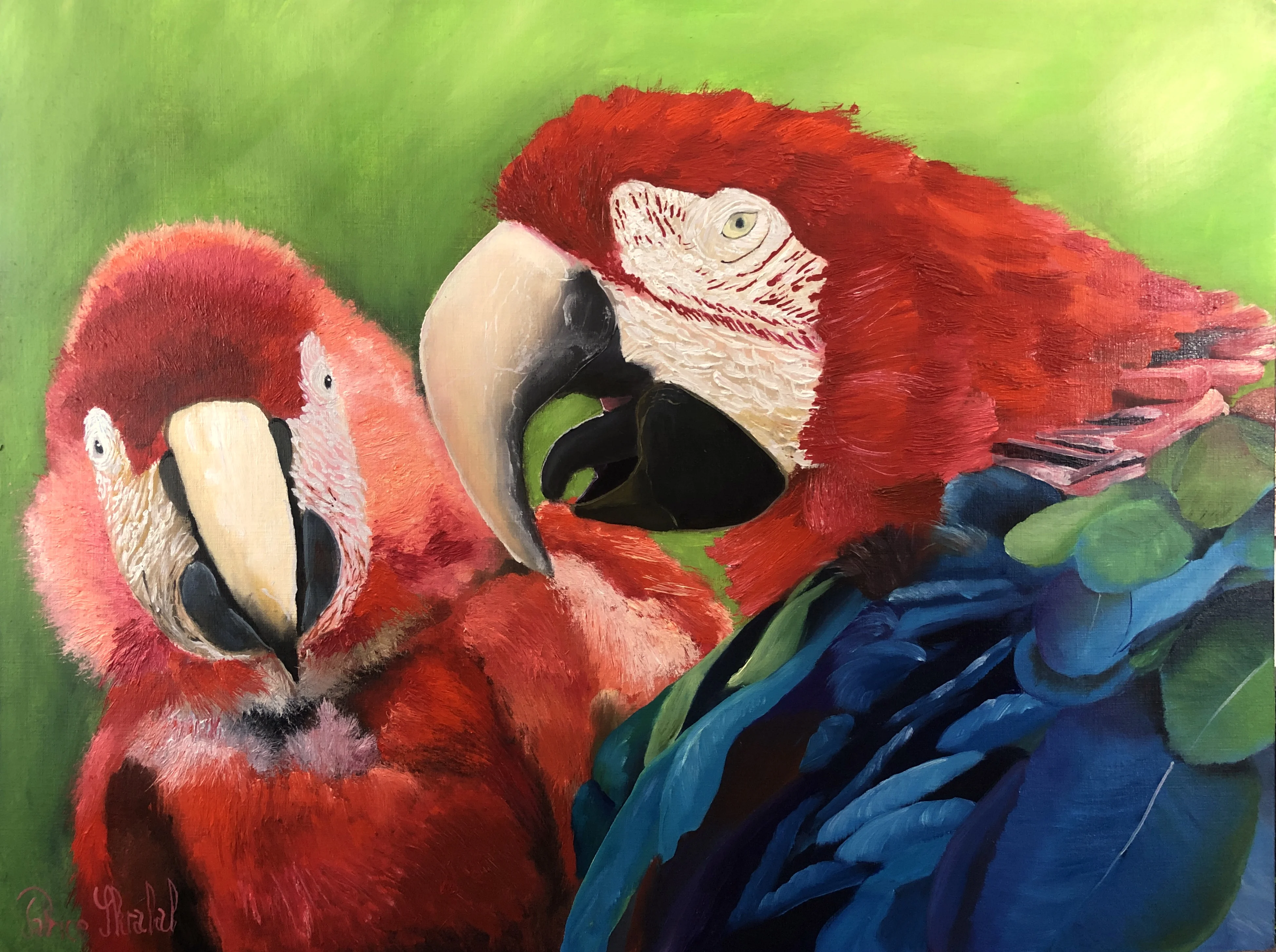 Vignette de la playlist peinture animalière de Patrice Skrabal